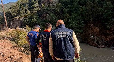 Artvin'de araç dereye düştü: 1 yaralı
