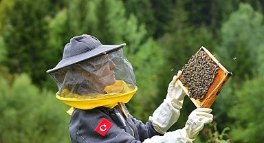 Artvin'de arıcılığı turizmle buluşturmak için rota belirleniyor