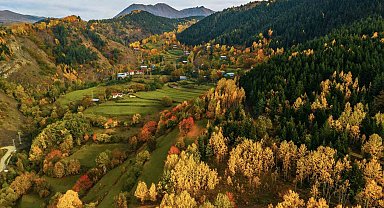 Artvin'de sonbahar renkleri hayran bırakıyor