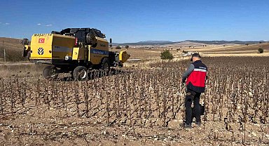 Aslanapa'da yüzde 75 hibeli ayçiçeğinde hasat kontrolleri