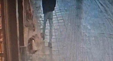 Avcılar'da uyuyan köpek, kendisine tekme atan adamı ısırdı