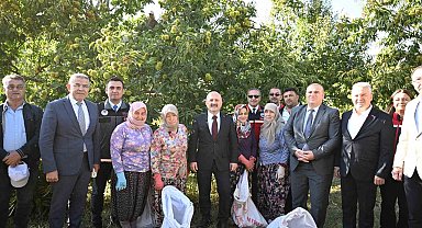 Aydın'da 5 bin 629 kestane üreticisi hasat heyecanı yaşıyor