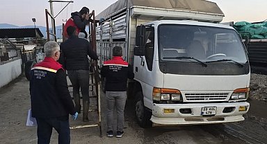 Aydın'da hayvan pazarında sıkı denetim