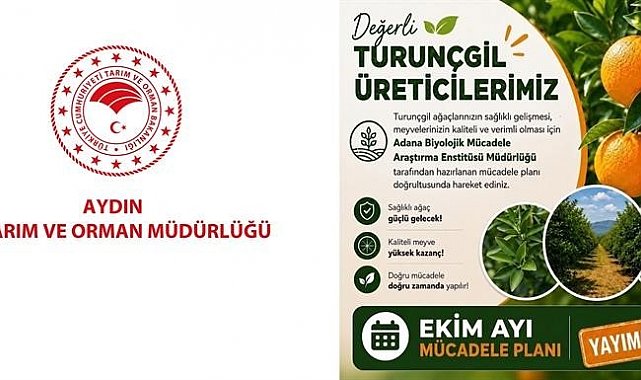 Aydın'da turunçgil bahçeleri için Ekim ayı mücadele planı açıklandı