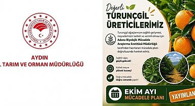 Aydın'da turunçgil bahçeleri için Ekim ayı mücadele planı açıklandı