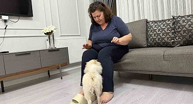 Aydın'dan alınan köpek Mardinli ailenin kabusu oldu