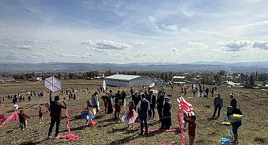 Aydıntepe'de uçurtma şenliği düzenlendi