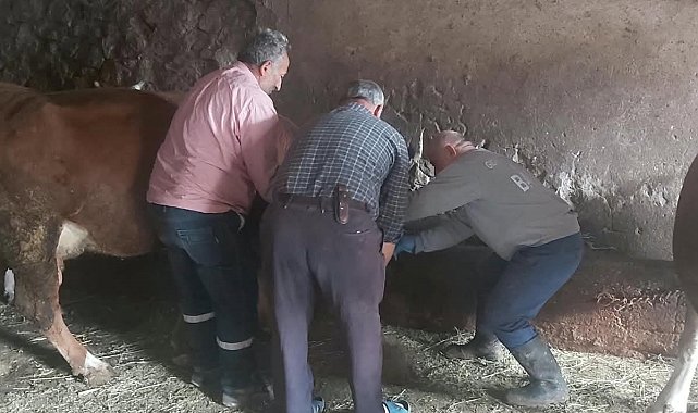 Aydıntepe'de yavru atık bildirimi üzerine saha çalışması yapıldı