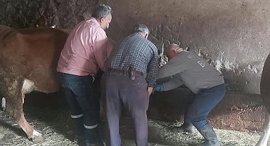 Aydıntepe'de yavru atık bildirimi üzerine saha çalışması yapıldı
