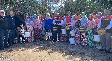 Ayvalık'ta ilk zeytin hasadına dua ve hayır yemekli başlangıç