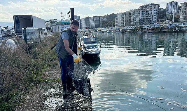 Balık çöplüğüne dönen liman temizlendi