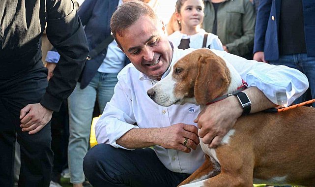 Balıkesir can dostlara sahip çıkıyor