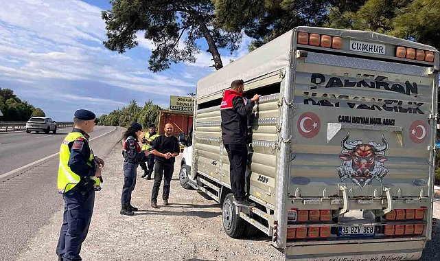 Balıkesir'de canlı hayvan nakillerine yönelik yol kontrolleri gerçekleştirildi