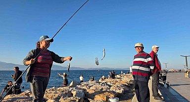 Bandırma sahilinde tırsi bereketi, kovalar kısa sürede doldu