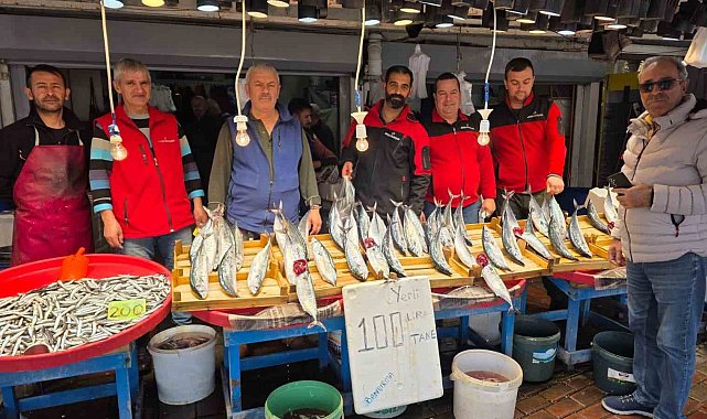 Bandırma'da palamut bereketi, vatandaş kasa kasa balık alıyor