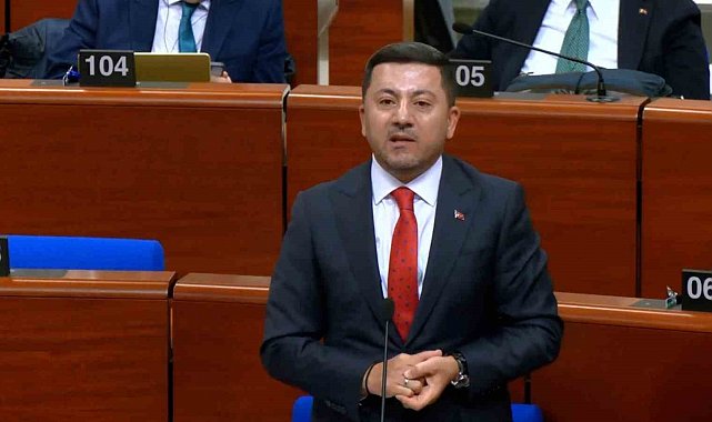 Başkan Arı'dan Strasbourg'da net mesaj: "Türkiye'nin yerine karar verilemez"