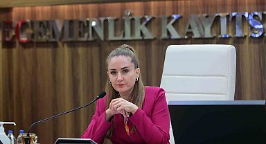 Başkan Vekili Özdemir: "Altıntaş çanağında biriken suyu denize ulaştırmak istiyoruz"