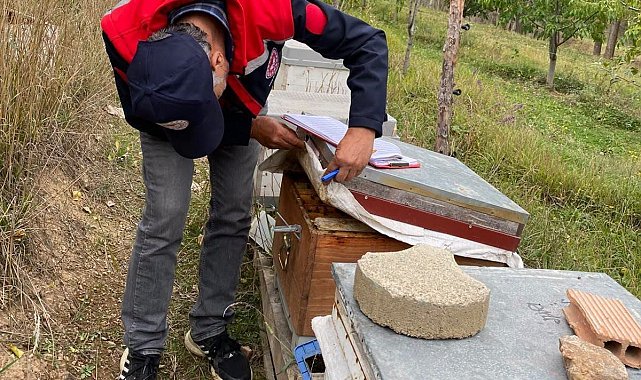 Bayburt'ta arılı kovan desteği için saha kontrolleri sürüyor