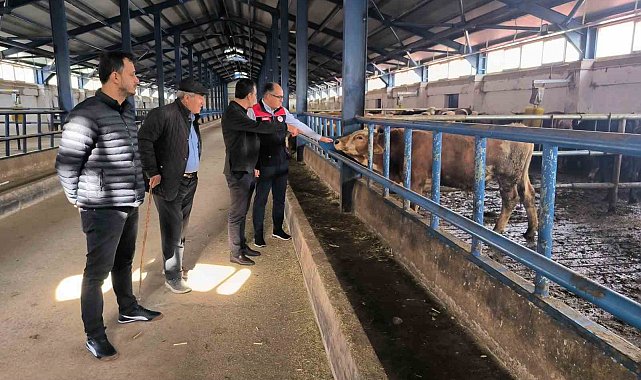 Bayburt'ta yüzde 50 hibe desteğiyle kurulan hayvancılık işletmesi incelendi