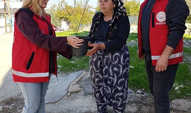 Besni'de yaşlılara fidan dağıtıldı