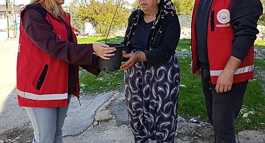 Besni'de yaşlılara fidan dağıtıldı