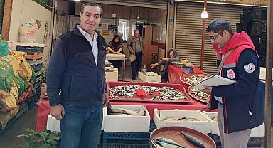 Beyşehir'de balıkçılıkta kurallara yakın takip
