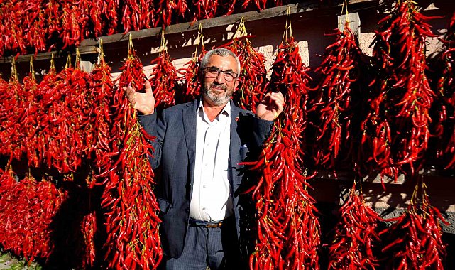 Biberler dizildi, köy kırmızıya boyandı: Herkes bu anı yakalamak için geliyor
