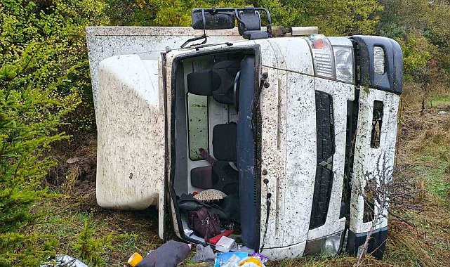 Bilecik'te kamyon takla atarak ormanlık alana devrildi: 2 yaralı