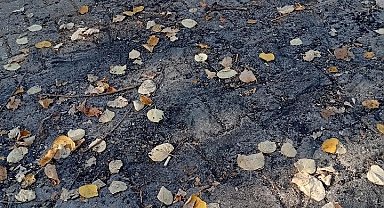 Bilecik'te parkın ortasında ateş yaktılar