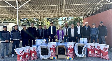 Bilecik'te üreticilere 41 bin 750 çilek fidesi desteği
