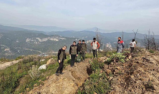 Bilecik'te yangınla küle dönen alanlar yeniden yeşeriyor
