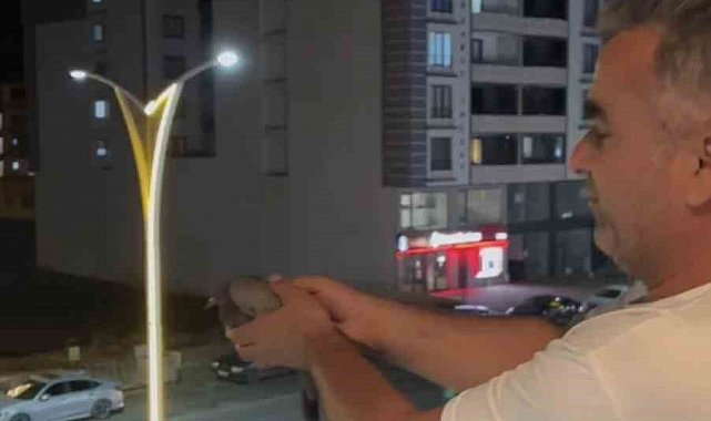 Bingöl'de havalandırma boşluğuna düşen 3 güvercini itfaiye kurtardı