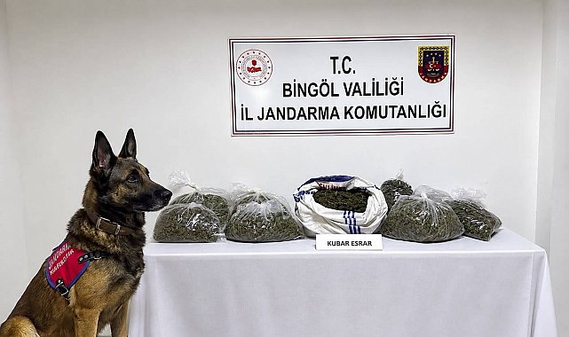 Bingöl'de jandarmadan bir haftada 25 olaya müdahale