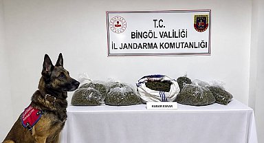 Bingöl'de jandarmadan bir haftada 25 olaya müdahale