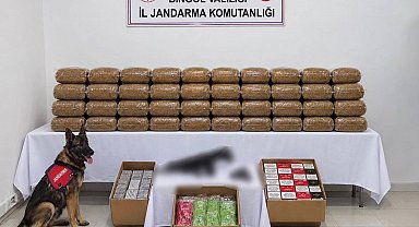 Bingöl'de kesinleşmiş hapis cezası bulunan 4 şüpheli yakalandı