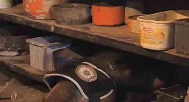 Bingöl'de uyuşturucu operasyonunda 1 tutuklama