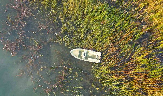 Bir tarafta afet, bir tarafta bereket: Sapanca Gölü'nde son iki yılın en yüksek su seviyesi