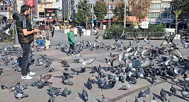 Bir yerde kış bir yerde yaz