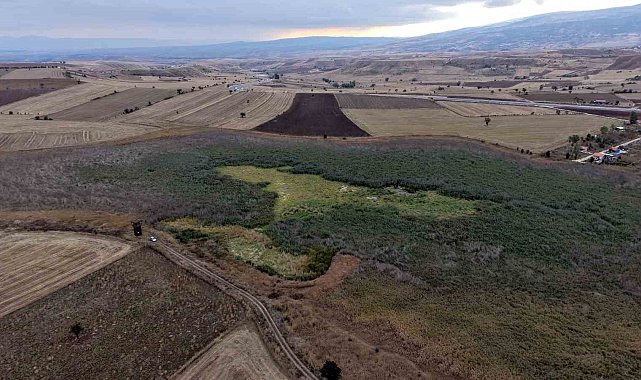 Bir zamanlar binlerce kuşa ev sahipliği yapıyordu: Çorum'un 'kuş cenneti'nde kuraklık sessizliği