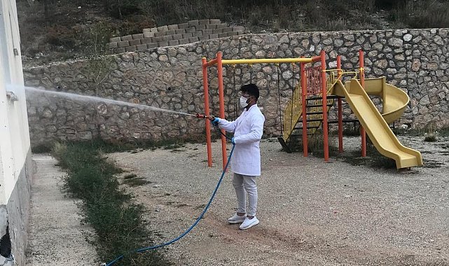 Böcek ve kemirgenlere karşı mücadele sürüyor