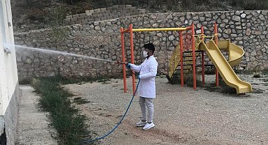 Böcek ve kemirgenlere karşı mücadele sürüyor