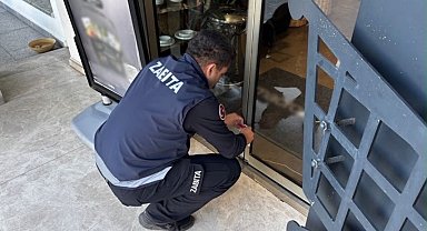 Bodrum'da 8 işletmeye 3 gün kapatma cezası