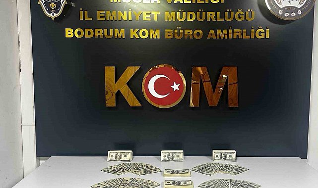 Bodrum'da sahte dolar operasyonu: 46 bin 200 dolar ele geçirildi