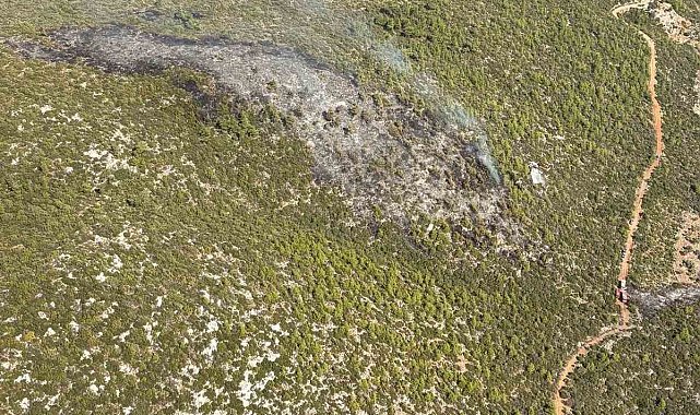 Bodrum'daki orman yangını kontrol altına alındı