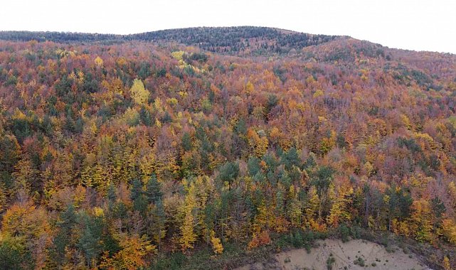 Bolu-Mudurnu kara yolunda sonbahar cümbüşü havadan görüntülendi