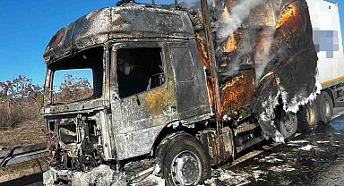 Bolu'da kargo yüklü tır alev alev yandı