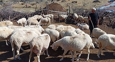 Bolu'da ORKÖY kredileri yüzleri güldürdü