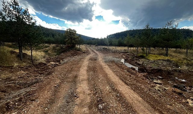 Bolu'da orman yangınlarına müdahaleyi kolaylaştıracak çalışma
