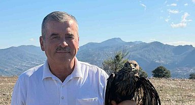 Bolu'da sıcak asfalta yapışan şahin, muhtarın müdahalesiyle kurtarıldı