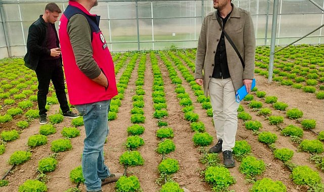 Bolvadin'de tarım öğrencilerinin uygulamalı eğitimleri incelendi
